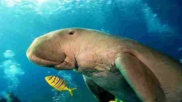 8 Days Marsa Alam Holiday Package with Nile Cruise